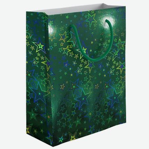 Сумка Regalissimi голография, 41 x 55 x 15.5см