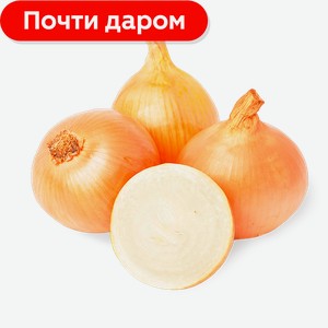 Лук репчатый 1.6 кг
