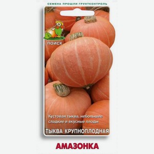 Семена Тыква «Поиск» Амазонка, 10 шт
