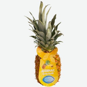 Ананас Puro Gusto, 1кг