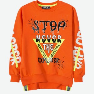 Толстовка для мальчика Boozya «Never stop orang», (104)