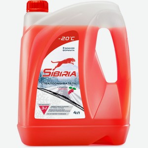 Стеклоомыватель SIBIRIA зимний, Барбарис -20С 801002, Россия, 4 л