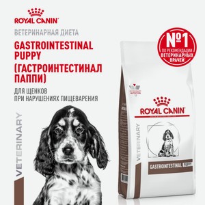 Royal Canin (вет.корма) корм сухой для щенков при расстройствах пищеварения, GASTROINTESTINAL PUPPY, 1 кг (1 кг)
