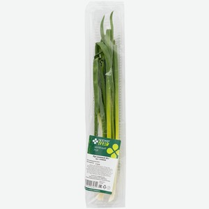 Лук зеленый Маркет Fresh, 50г