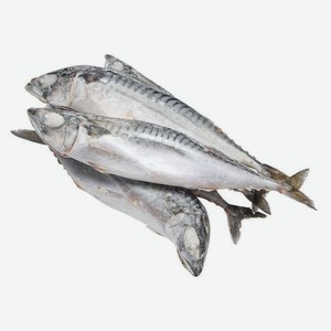 Скумбрия с/м Акватик, вес