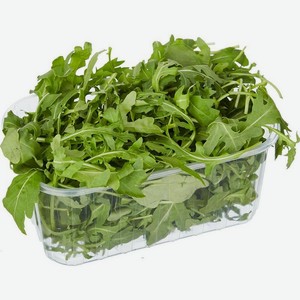 Смесь салатная Руккола, мангольд, мизуна