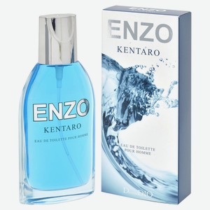 Туалетная вода мужская Dannie Dio Enzo Kentaro, 95 мл
