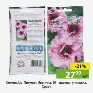 Семена Цв, Петуния, Эвелина, 10 г, цветная упаковка, Седек