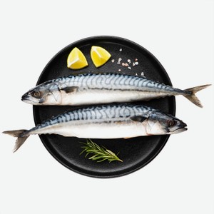 Скумбрия, кг