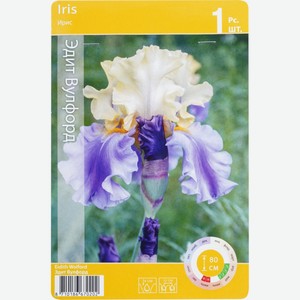 Луковица ЧТМ fantasy brands Ирис Пикок RKG.201.VPL.002.STD, Польша, 1 шт