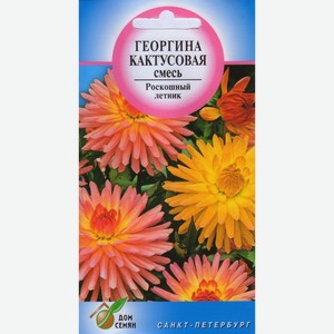 Георгина Кактусовая