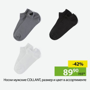 Носки мужские COLLANT, размер и цвет в ассортименте