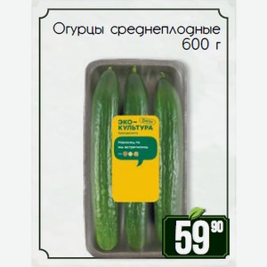 Огурцы среднеплодные 600 г