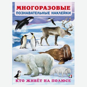 Книга Многоразовые познавательные наклейки. Кто живет на полюсе