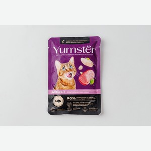 Корм влажный для взрослых кошек с рыбой в соусе Yumster, 85 г 85 г
