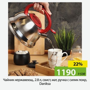Чайник нержавеющ., 2.8 л, свист, мат, ручка с силик покр, Daniksа