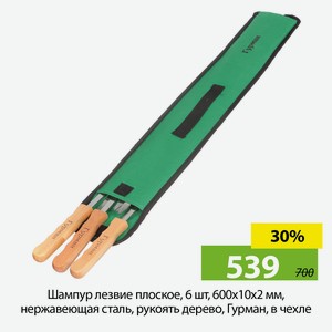 Шампур лезвие плоское, 6 шт, 600х10х2 мм, нержавеющая сталь, рукоять дерево, Гурман, в чехле
