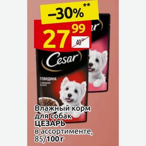 Влажный корм для собак ЦЕЗАРЬ ассортименте, 100 г