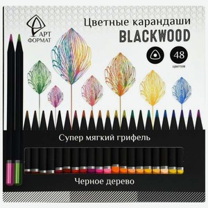Карандаши цветные АРТформат 48 шт.