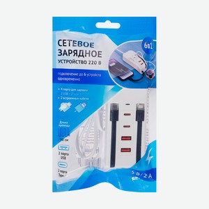 Сетевое зарядное устройство 220 В, 6 в 1