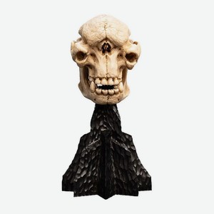 WETA WORKSHOP Игрушка Lord Of The Rings Mini Skull Of A Cave Troll 21 см Statue, Мультиколор