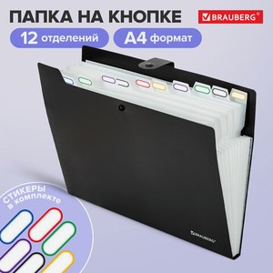 Папка-органайзер на резинке 12 отделений