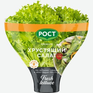 Салат Рост Латук хрустящий в горшочке, 200г