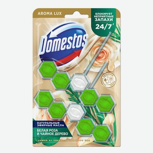 DOMESTOS Блок для очищения унитаза POWER 5 ЗЕЛЁНЫЙ ЧАЙ Дуо, 2*50гр