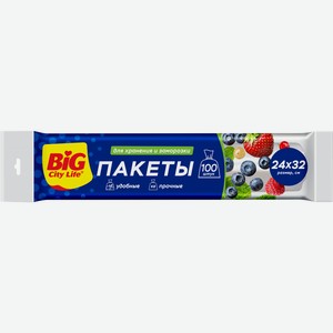 Пакеты для хранения Биг Сити Лайф (Big City Life) 100 шт.