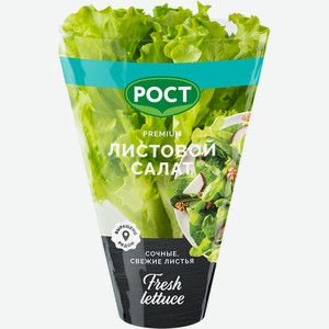 Салат Рост Листовой в горшочке, 75г