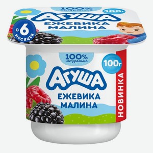 Творог Агуша Фруктовый с ежевикой и малиной с 6мес. 3.9% БЗМЖ, 100г, 100 г