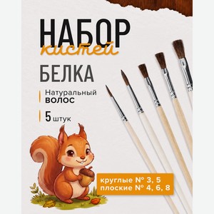 Набор кистей  Белка , 5 шт., в ассортименте