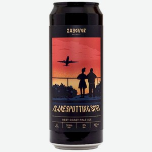 Пиво светлое Zagovor Planespotting Spot нефильтрованное неосветленное 5.5%, 450мл