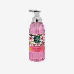 Пенящееся мыло с маслом оливкового дерева Japanese Cherry Blossom Foam Soap