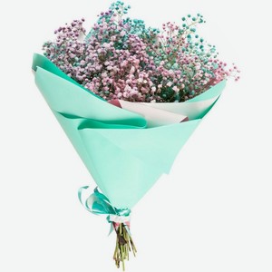 Гипсофила Микс в ассортименте, 1шт, 149 г