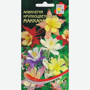 Аквилегия Маккана