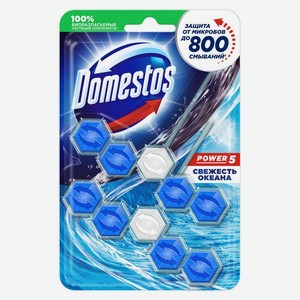 Туалетный блок д/унитаза Domestos Power Duo 5 свежесть океана 2х55г