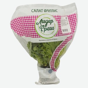 Салат Фриллис хрустящий в горшочке, 1 штука