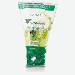 Салат в горшочке шт