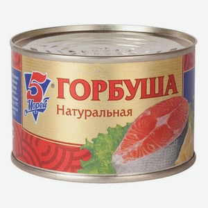Горбуша 5 Морей натуральная 250 г