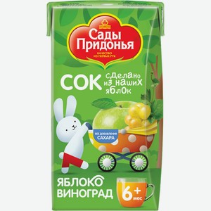 Детское питание сок САДЫ ПРИДОНЬЯ яблочно-виноградный с 6 мес, Россия, 125 мл
